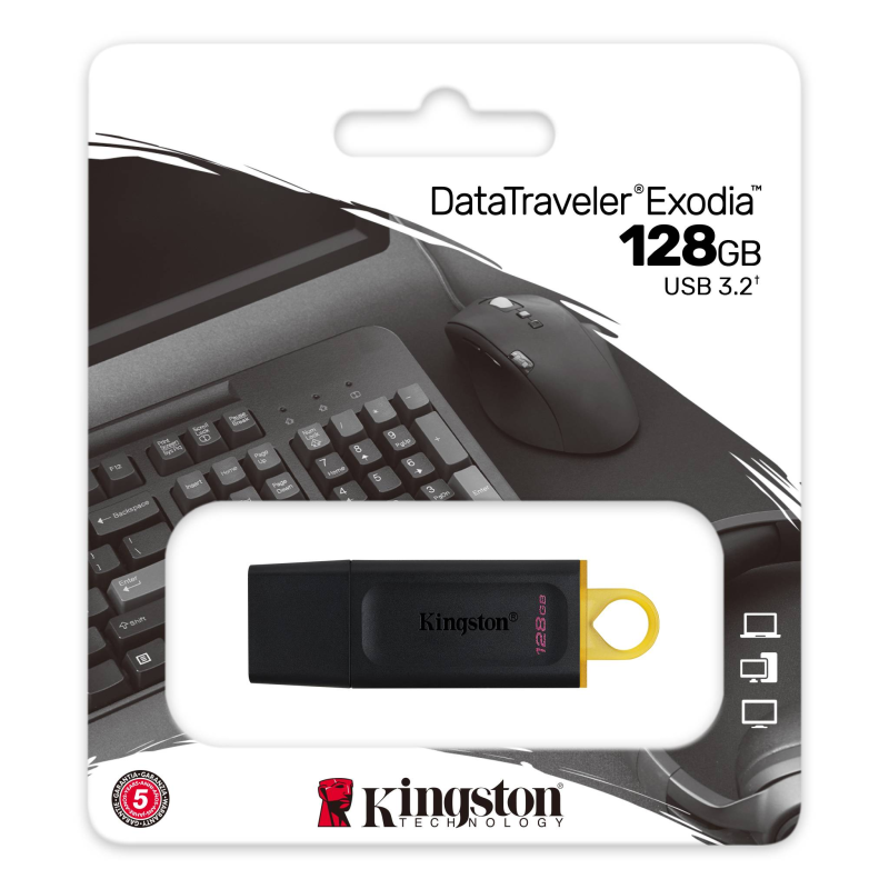 Clé USB DataTraveler Kingston 128GB